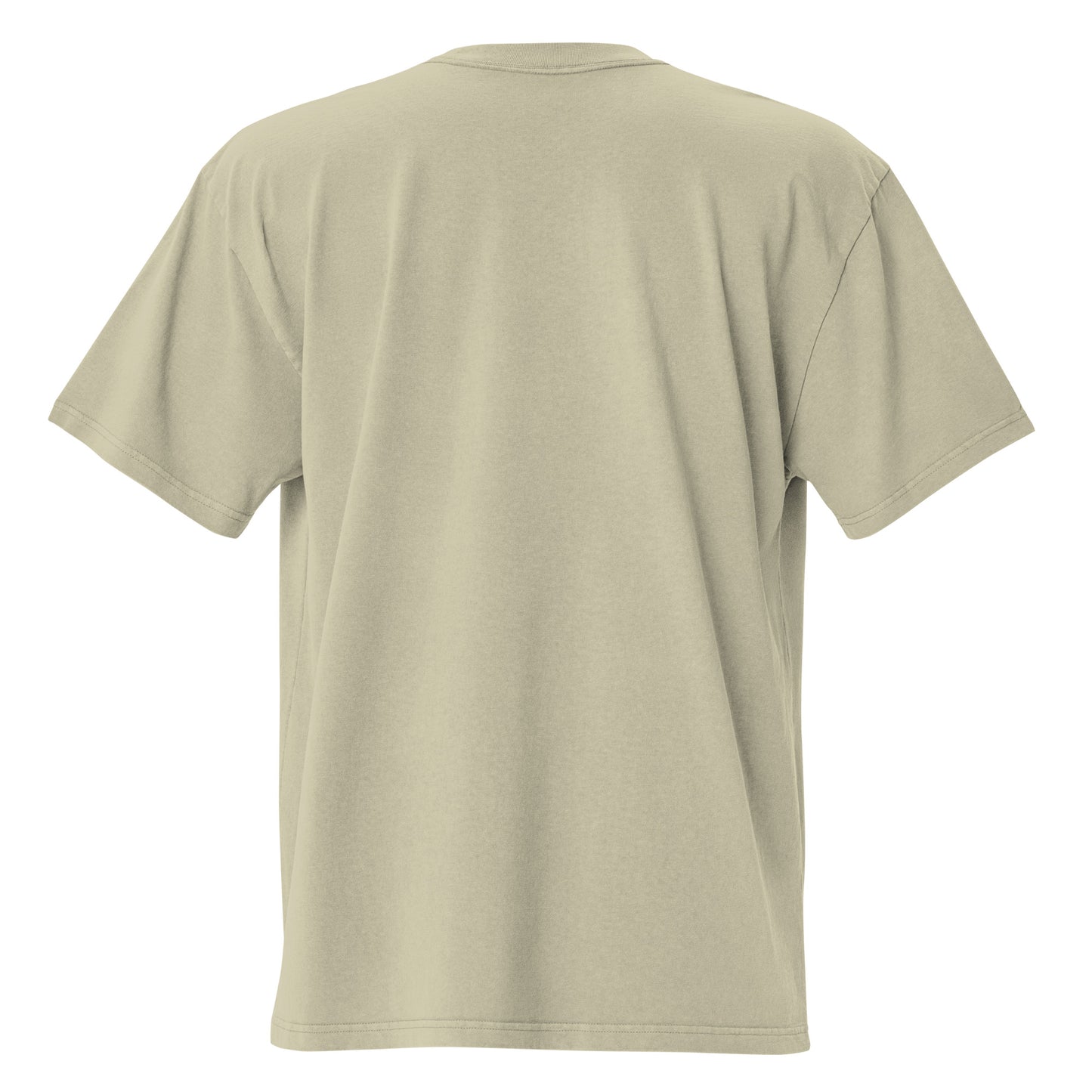 Hip-Politics Logo Oversized faded heavy t-shirt